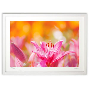 ŉ 킢 (crazetaka)CeA Ǌ| z i |X^[ A[g rO ւɏ  v[g _ A[gt[