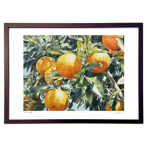 ŉ  (Gyl)CeA Ǌ| z i |X^[ A[g rO ւɏ  v[g _ A[gt[