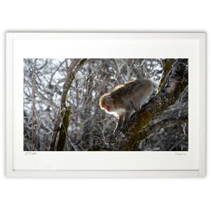 ŉ SURVIVAL (takumi)CeA Ǌ| z i |X^[ A[g rO ւɏ  v[g _ A[gt[