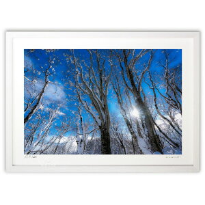 ŉ ~X̋P (bluewoods07)CeA Ǌ| z i |X^[ A[g rO ւɏ  v[g _ A[gt[