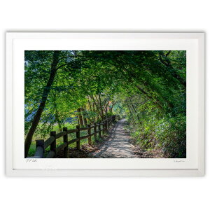 ŉ H֑΂̓ (MINS)CeA Ǌ| z i |X^[ A[g rO ւɏ  v[g _ A[gt[