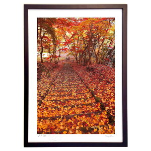 ŉ gt̐Βi (mitan)CeA Ǌ| z i |X^[ A[g rO ւɏ  v[g _ A[gt[