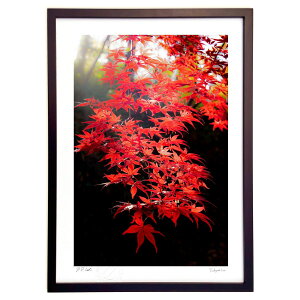 ŉ 1210@킪ɂ (쌛)CeA Ǌ| z i |X^[ A[g rO ւɏ  v[g _ A[gt[