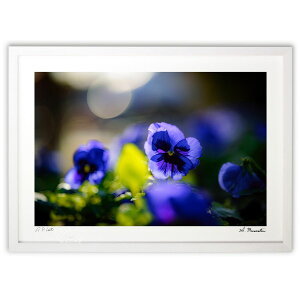 ŉ ~̌w (Shinobu Muramatsu)