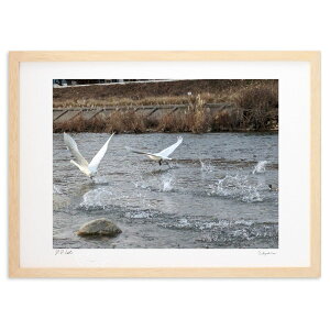 ŉ ̐ (VՂ܂񂶂イ)CeA Ǌ| z i |X^[ A[g rO ւɏ  v[g _ A[gt[