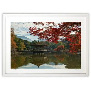 ŉ яH̕ (Yoshitaka.K)CeA Ǌ| z i |X^[ A[g rO ւɏ  v[g _ A[gt[