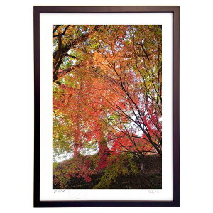 ŉ [zɐ܂gt2 (mitan)CeA Ǌ| z i |X^[ A[g rO ւɏ  v[g _ A[gt[