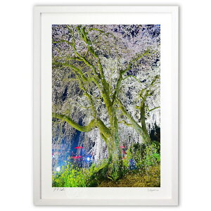 ŉ  (mitan)CeA Ǌ| z i |X^[ A[g rO ւɏ  v[g _ A[gt[