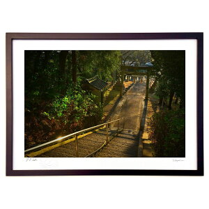 ŉ [_ ()CeA Ǌ| z i |X^[ A[g rO ւɏ  v[g _ A[gt[