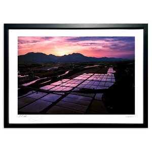 �ŉ� ���z�f���c�� (skynuts)�C���e���A �Ǌ|�� �z���� ���i�� �|�X�^�[ �A�[�g ���r���O ���ւɏ��� ���� �v���[���g ���_�� �A�[�g�t���[��