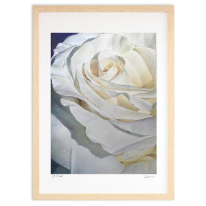 ŉ C (Gyl)CeA Ǌ| z i |X^[ A[g rO ւɏ  v[g _ A[gt[