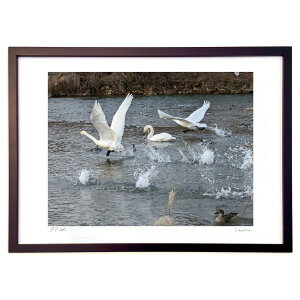 ŉ ̐ (VՂ܂񂶂イ)CeA Ǌ| z i |X^[ A[g rO ւɏ  v[g _ A[gt[