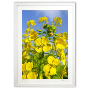 ŉ ؂̉ (w)CeA Ǌ| z i |X^[ A[g rO ւɏ  v[g _ A[gt[