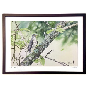 ŉ In the forest ( ~)CeA Ǌ| z i |X^[ A[g rO ւɏ  v[g _ A[gt[