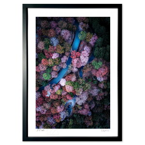 �ŉ� �R�̎X��� (skynuts)�C���e���A �Ǌ|�� �z���� ���i�� �|�X�^�[ �A�[�g ���r���O ���ւɏ��� ���� �v���[���g ���_�� �A�[�g�t���[��