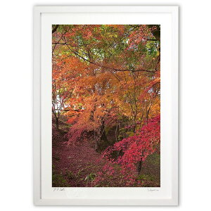 ŉ [ߍgt (mitan)CeA Ǌ| z i |X^[ A[g rO ւɏ  v[g _ A[gt[