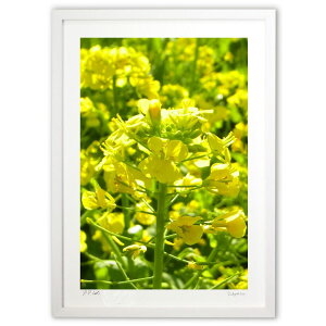 ŉ z˂ƍ؂̉ (w)CeA Ǌ| z i |X^[ A[g rO ւɏ  v[g _ A[gt[