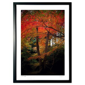 ŉ gt̃s[XTC (ramble)CeA Ǌ| z i |X^[ A[g rO ւɏ  v[g _ A[gt[