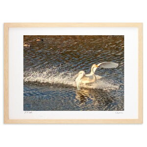 ŉ I (VՂ܂񂶂イ)CeA Ǌ| z i |X^[ A[g rO ւɏ  v[g _ A[gt[