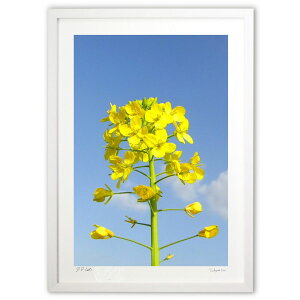 ŉ ؂̉ (w)CeA Ǌ| z i |X^[ A[g rO ւɏ  v[g _ A[gt[