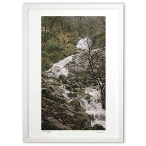 ŉ ̗ (Agura)CeA Ǌ| z i |X^[ A[g rO ւɏ  v[g _ A[gt[