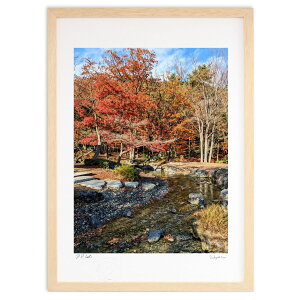 ŉ H̏ (VՂ܂񂶂イ)CeA Ǌ| z i |X^[ A[g rO ւɏ  v[g _ A[gt[