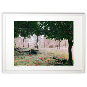 ŉ t̋s (vA)CeA Ǌ| z i |X^[ A[g rO ւɏ  v[g _ A[gt[