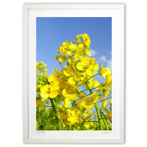 ŉ ɗh؂̉ (w)CeA Ǌ| z i |X^[ A[g rO ւɏ  v[g _ A[gt[