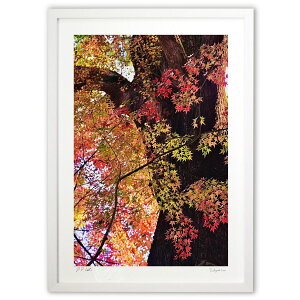 ŉ [zɐ܂gt (mitan)CeA Ǌ| z i |X^[ A[g rO ւɏ  v[g _ A[gt[