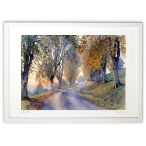 ŉ uz铹 (feather)CeA Ǌ| z i |X^[ A[g rO ւɏ  v[g _ A[gt[