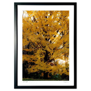 ŉ PM3F45@ǂ̖ (쌛)CeA Ǌ| z i |X^[ A[g rO ւɏ  v[g _ A[gt[