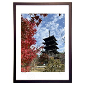 ŉ mȁH (k đ)CeA Ǌ| z i |X^[ A[g rO ւɏ  v[g _ A[gt[