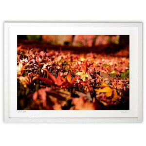 ŉ gtO~ (H)CeA Ǌ| z i |X^[ A[g rO ւɏ  v[g _ A[gt[