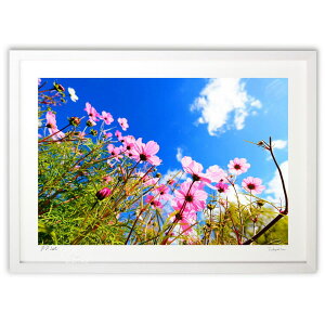 �y��Ƃ���̍�i�����z��ƃR�X���X�A�����ɍ炭������グ��R�X���X�B�A�����̃Q�[�g��������Ƃ���&