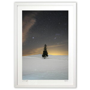 ŉ NX}Xc[̖ ( )CeA Ǌ| z i |X^[ A[g rO ւɏ  v[g _ A[gt[