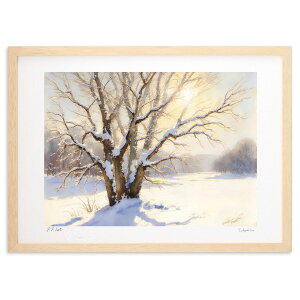 ŉ ؂ɐς (feather)CeA Ǌ| z i |X^[ A[g rO ւɏ  v[g _ A[gt[