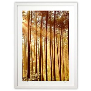 ŉ ؘR2 (mitan)CeA Ǌ| z i |X^[ A[g rO ւɏ  v[g _ A[gt[