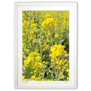 ŉ z˂ƍ؂̉ (w)CeA Ǌ| z i |X^[ A[g rO ւɏ  v[g _ A[gt[