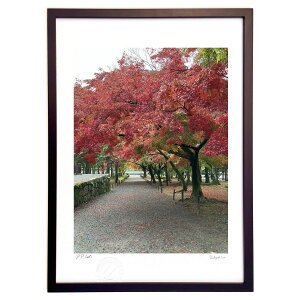 ŉ H̋s (vA)CeA Ǌ| z i |X^[ A[g rO ւɏ  v[g _ A[gt[