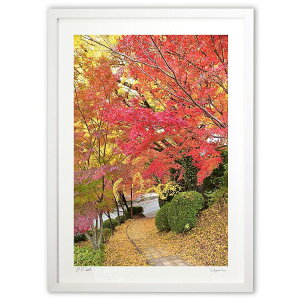 ŉ gt2 (mitan)CeA Ǌ| z i |X^[ A[g rO ւɏ  v[g _ A[gt[