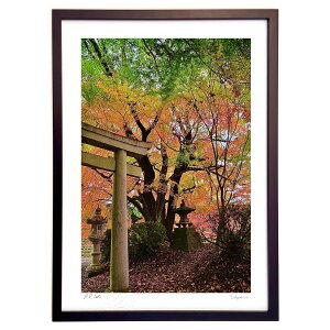 ŉ ƍgt (mitan)CeA Ǌ| z i |X^[ A[g rO ւɏ  v[g _ A[gt[