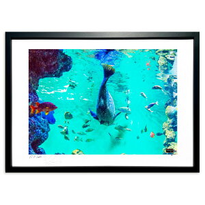 ŉ C̎ (MAKOTO)CeA Ǌ| z i |X^[ A[g rO ւɏ  v[g _ A[gt[