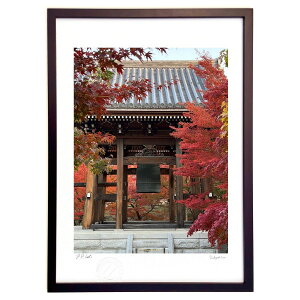 ŉ H̋s (vA)CeA Ǌ| z i |X^[ A[g rO ւɏ  v[g _ A[gt[