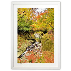 ŉ ΋ƍgt (mitan)CeA Ǌ| z i |X^[ A[g rO ւɏ  v[g _ A[gt[