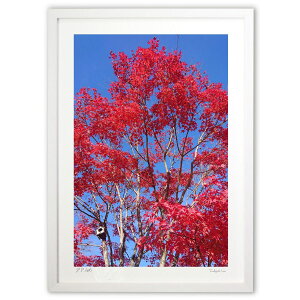 ŉ ƍg (michi)CeA Ǌ| z i |X^[ A[g rO ւɏ  v[g _ A[gt[