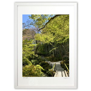 ŉ t̋s (vA)CeA Ǌ| z i |X^[ A[g rO ւɏ  v[g _ A[gt[