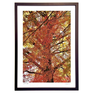 ŉ gt3 (mitan)CeA Ǌ| z i |X^[ A[g rO ւɏ  v[g _ A[gt[