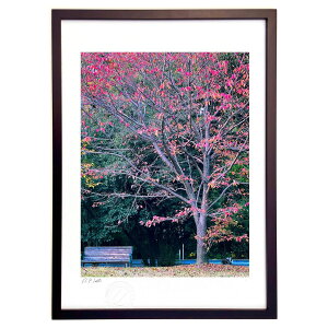 ŉ ̖ (FiMisoraj)CeA Ǌ| z i |X^[ A[g rO ւɏ  v[g _ A[gt[