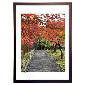 ŉ H̋s (vA)CeA Ǌ| z i |X^[ A[g rO ւɏ  v[g _ A[gt[