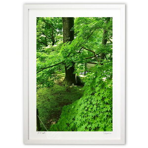 ŉ ^Ă̍gt (mitan)CeA Ǌ| z i |X^[ A[g rO ւɏ  v[g _ A[gt[